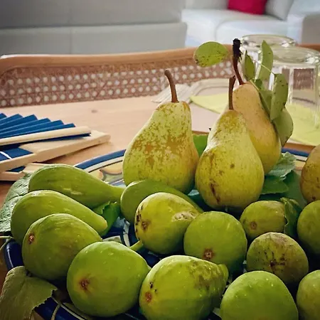 The Olive Tree Vacation In Apartamento *